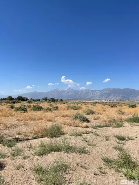 2554 Last Chance Ct, Minden, NV 89423