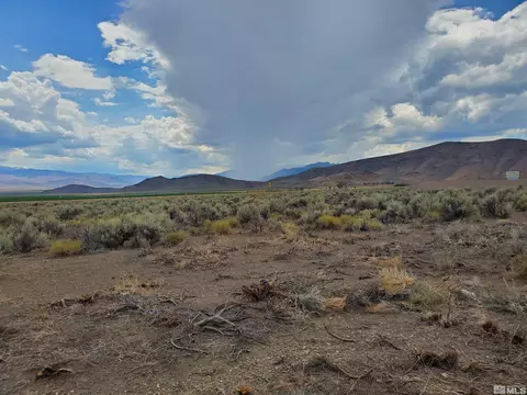 3929 Carter Dr, Wellington, NV 89444