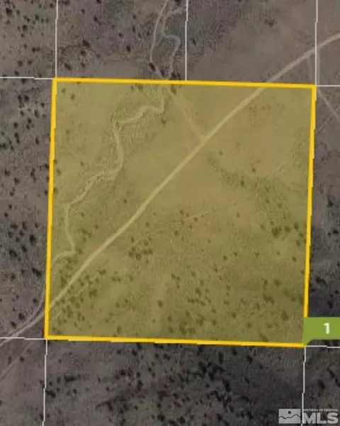 lot212 S 470s Nw4ne-s1017n21e Virginia Rnch, Virginia City, NV 89521