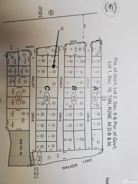 146 Pamela Dr, Walker Lake, NV 89415