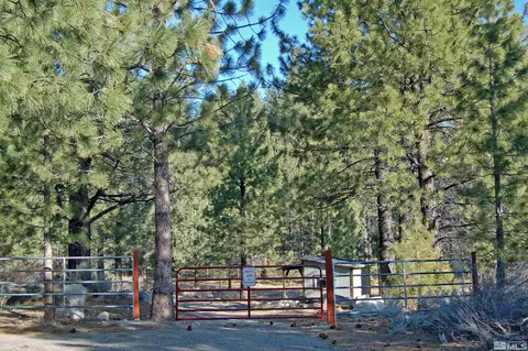 125 Old Mill Pl, Washoe Valley, NV 89704