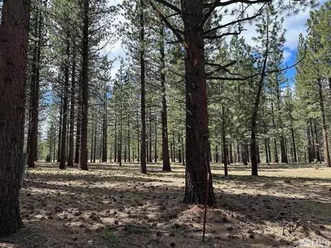 130 Sawmill Rd, Markleeville, CA 96120 photo 32