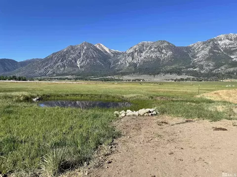 1175 Mottsville Meadows Way, Gardnerville, NV 89460