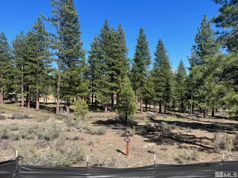 3562 Knob Point Trl #103, Carson City, NV 89705