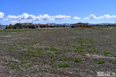 1786 Monte Vis, Minden, NV 89423