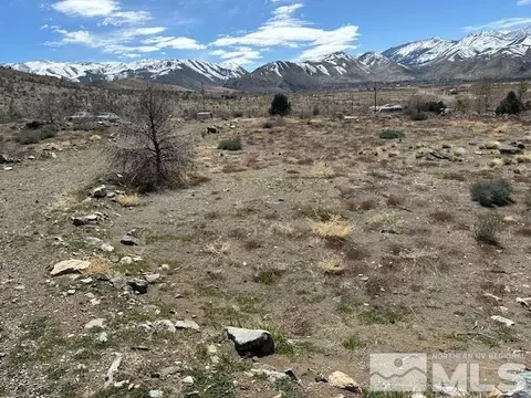 157 Eastside Rd, Coleville, CA 96107 photo 8