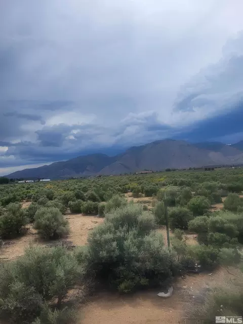 31 Yellowsage Dr, Wellington, NV 89444