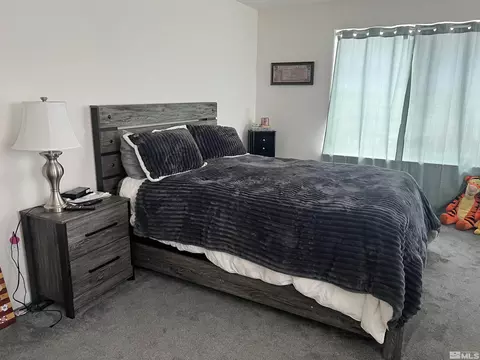 3127 Schindler Rd, Fallon, NV 89406 photo 10