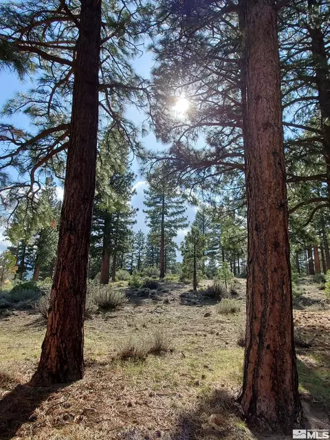 125 E Willis, Reno, NV 89511