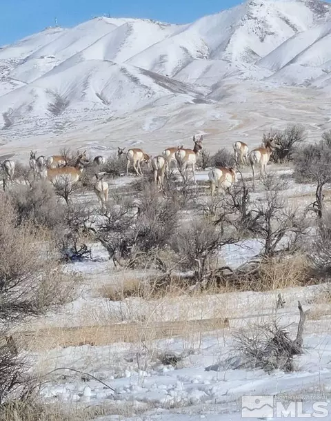 05036617 Ocean Rd, Winnemucca, NV 89445