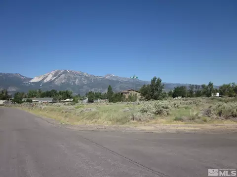 175 Jackdaw Cir, Washoe Valley, NV 89704