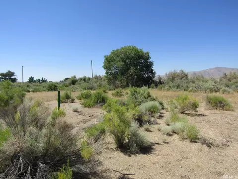 21 Calico Hills Ln, Yerington, NV 89447