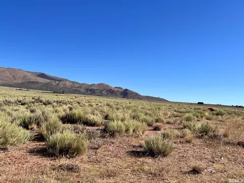 4600 Bosler Way, Wellington, NV 89444