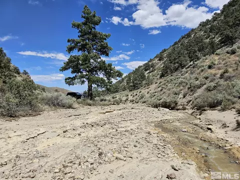 R30e S29>160ac, Hawthorne, NV 89415