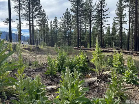 606 Pleasant Valley Rd, Markleeville, CA 96120