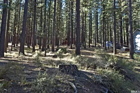 66 Pleasant Valley Rd, Markleeville, CA 96120