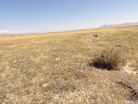 06-0097 05 Remington Daisy, Winnemucca, NV 89445