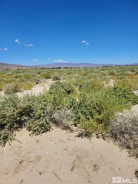 1590 E Cougar, Silver Springs, NV 89429