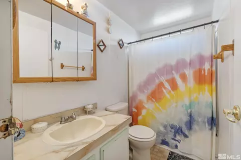 610 E 4th Ave, Sun Valley, NV 89433 photo 23