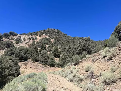 257 258s Virginia # S, Virginia City, NV 89440