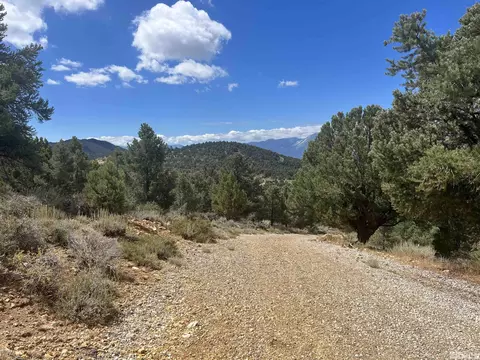 320 E Five Mile, Virginia City, NV 89521 photo 16