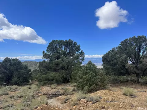 320 E Five Mile, Virginia City, NV 89521 photo 27