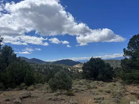 320 E Five Mile, Virginia City, NV 89521 photo 26