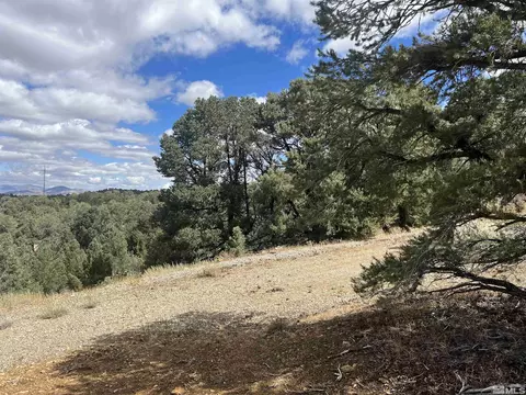 320 E Five Mile, Virginia City, NV 89521 photo 10