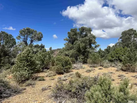 320 E Five Mile, Virginia City, NV 89521 photo 4