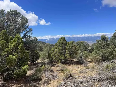 320 E Five Mile, Virginia City, NV 89521 photo 5