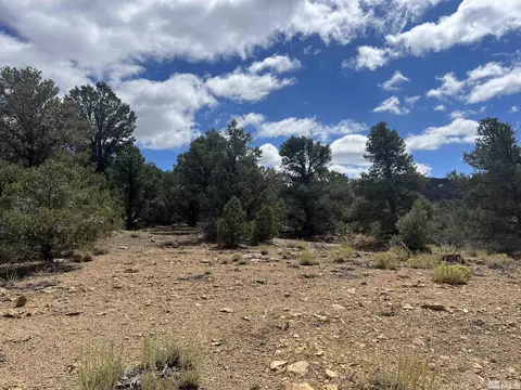320 E Five Mile, Virginia City, NV 89521 photo 8