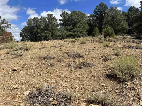 320 E Five Mile, Virginia City, NV 89521 photo 6