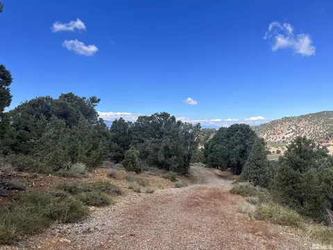 320 E Five Mile, Virginia City, NV 89521 photo 21