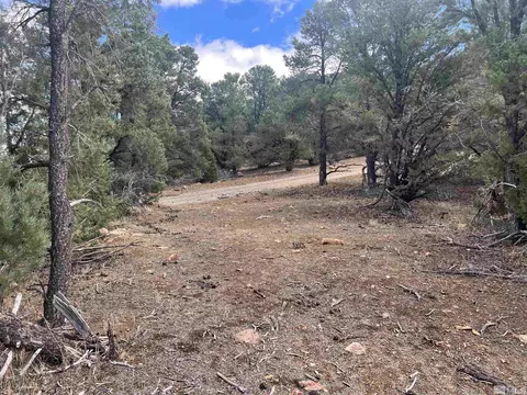 320 E Five Mile, Virginia City, NV 89521 photo 25