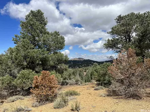 320 E Five Mile, Virginia City, NV 89521 photo 7