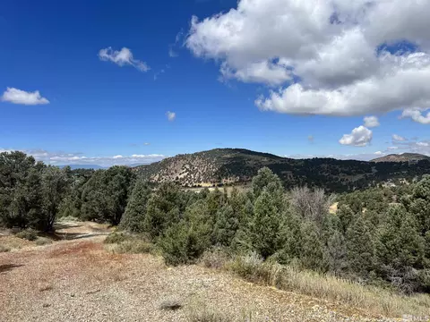 320 E Five Mile, Virginia City, NV 89521 photo 11