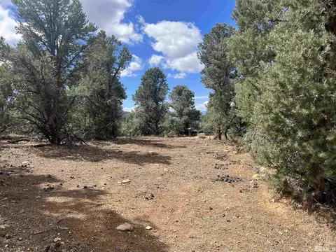 320 E Five Mile, Virginia City, NV 89521 photo 13