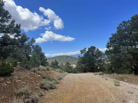 320 E Five Mile, Virginia City, NV 89521 photo 20