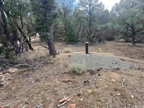 320 E Five Mile, Virginia City, NV 89521 photo 24