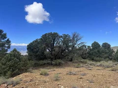 320 E Five Mile, Virginia City, NV 89521 photo 28