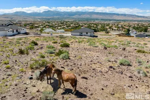 8898 Western Skies Dr, Reno, NV 89521
