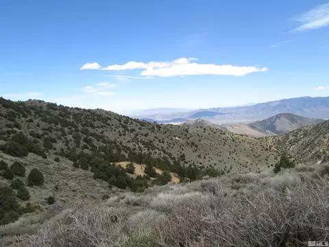 00430125 Mt Davidson, Virginia City, NV 89440