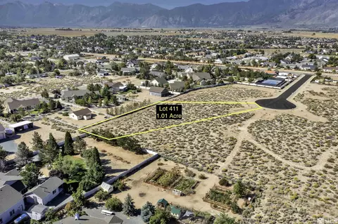 411 Kelsey Ct Lt, Minden, NV 89423
