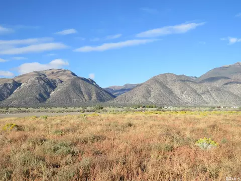10 Madison Way, Smith, NV 89444