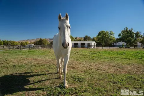 215 Neilson Rd, Reno, NV 89521 photo 30