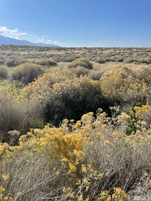 102 Eden Valley Rd, Winnemucca, NV 89445