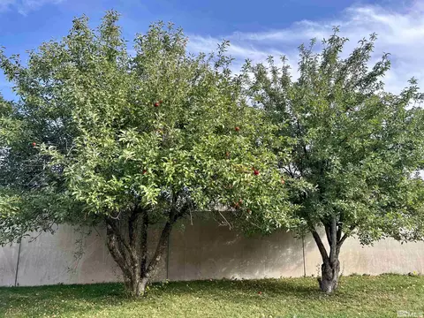 3020 Chavez, Reno, NV 89502 photo 2
