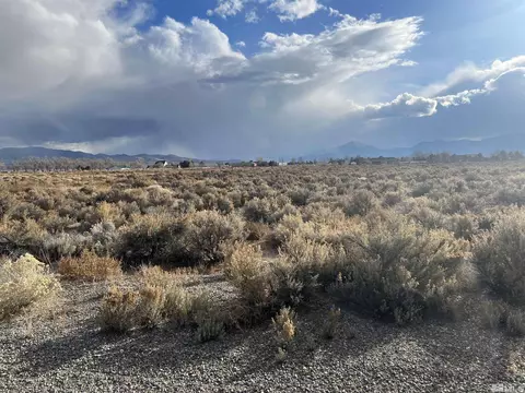 65 Acciari Rd, Smith, NV 89430 photo 1