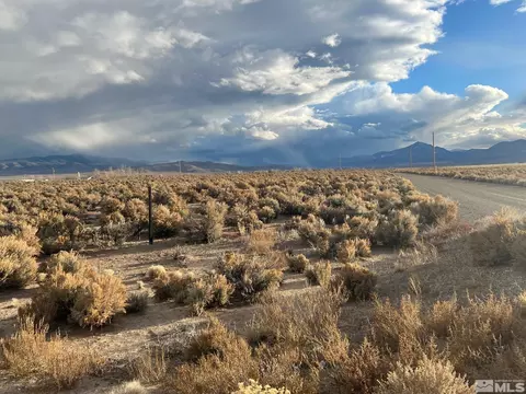 6 Acciari Rd, Smith, NV 89430 photo 10