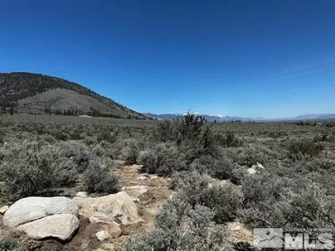 lot6 Hawkins Peak, Woodfords, CA 96120